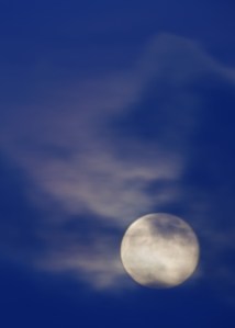 Blue Moon (2)